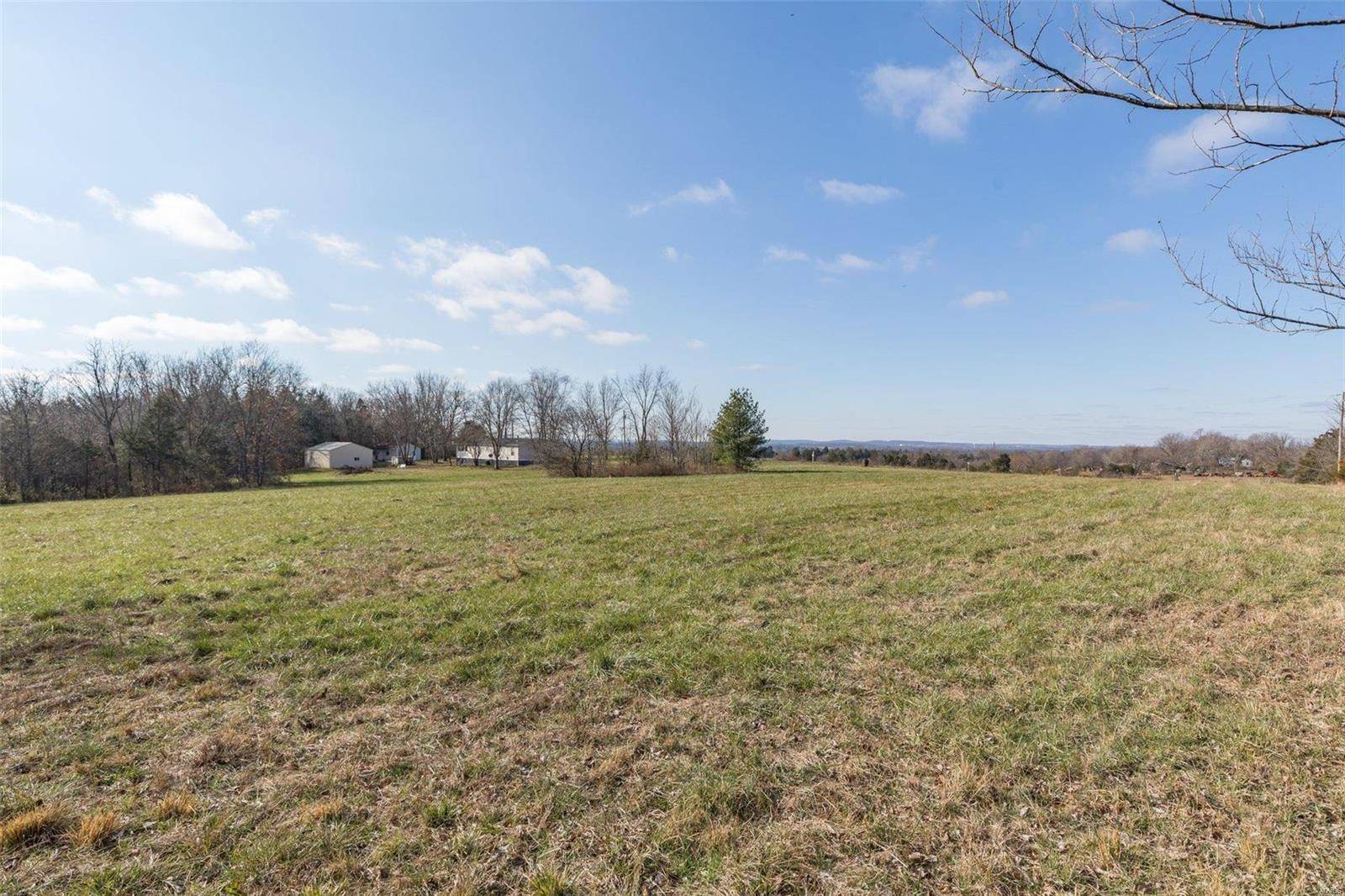 Bonne Terre, MO 63628,0 David RD