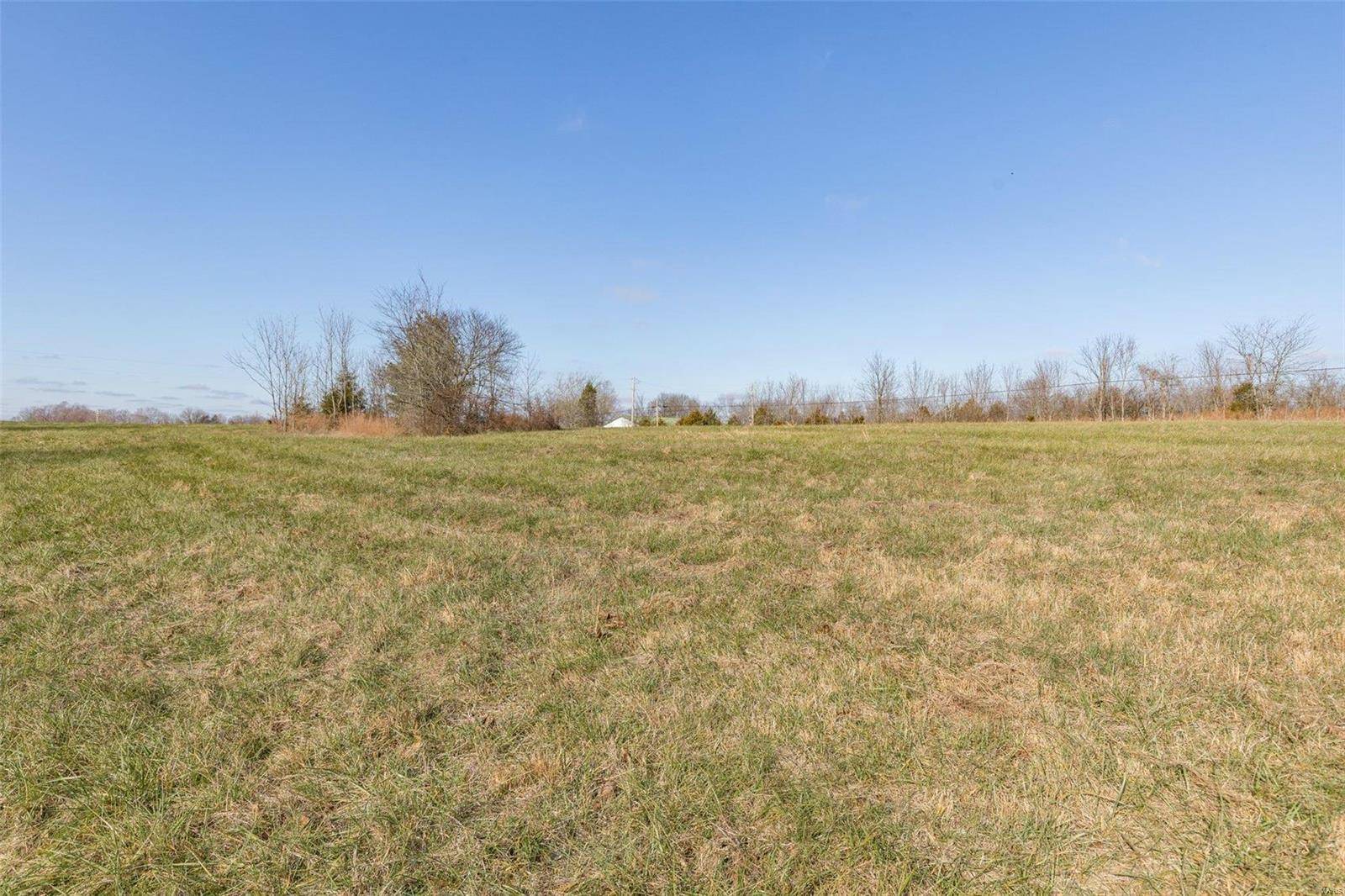 Bonne Terre, MO 63628,0 David RD