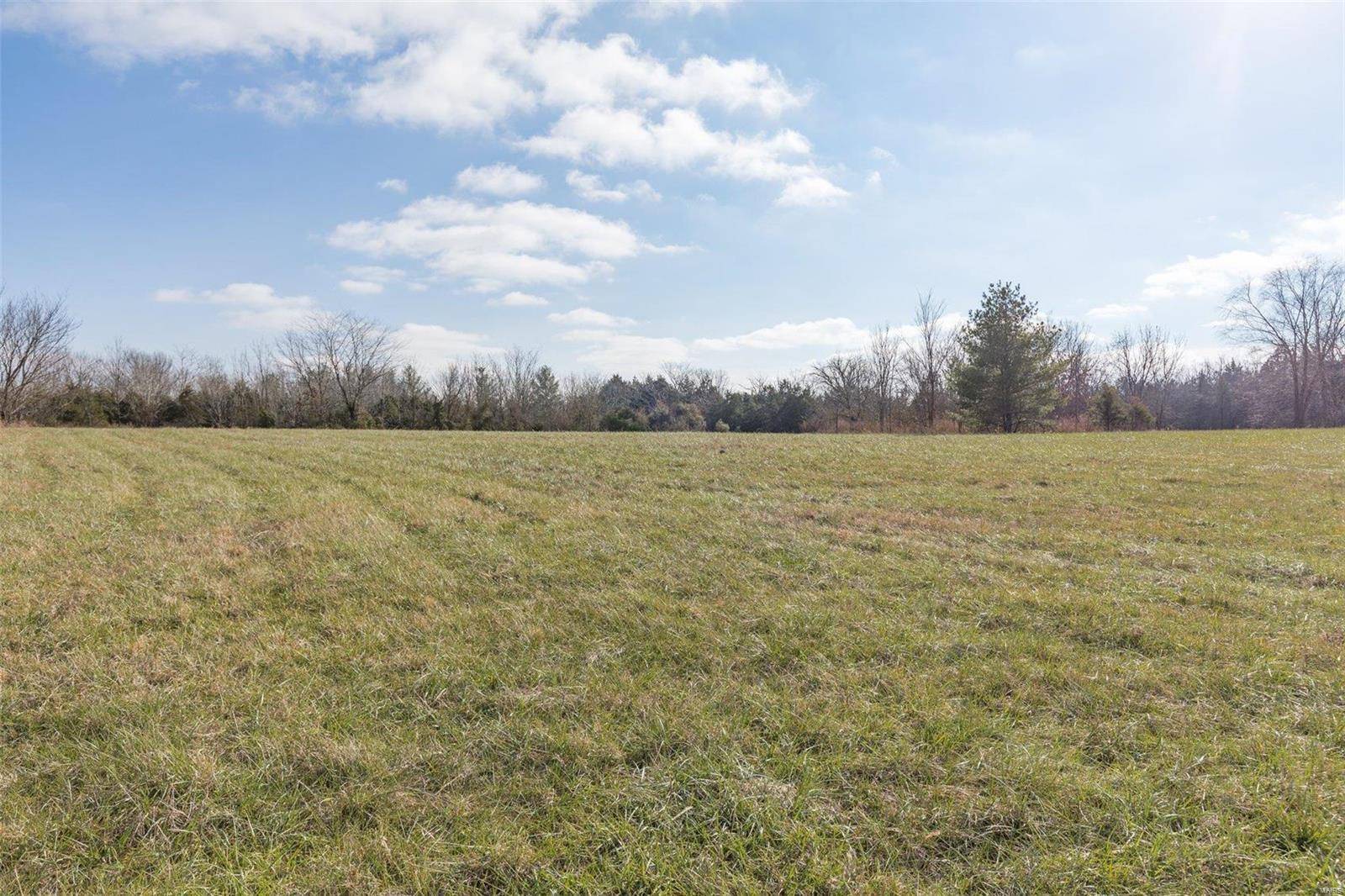 Bonne Terre, MO 63628,0 David RD