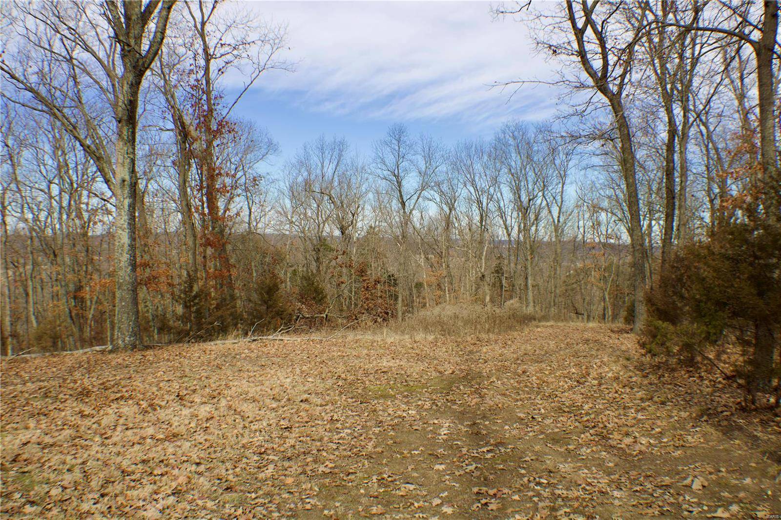 Eureka, MO 63025,1 Misty Ridge (Lot 1)