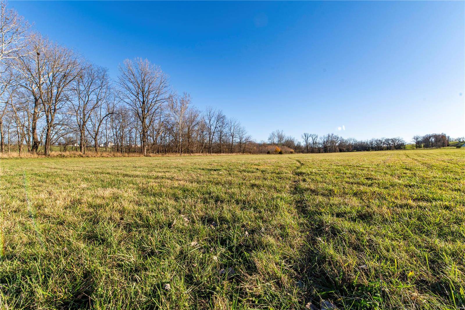 Bowling Green, MO 63334,0 Pike Co. Rd. 318 (20+/- Acres)