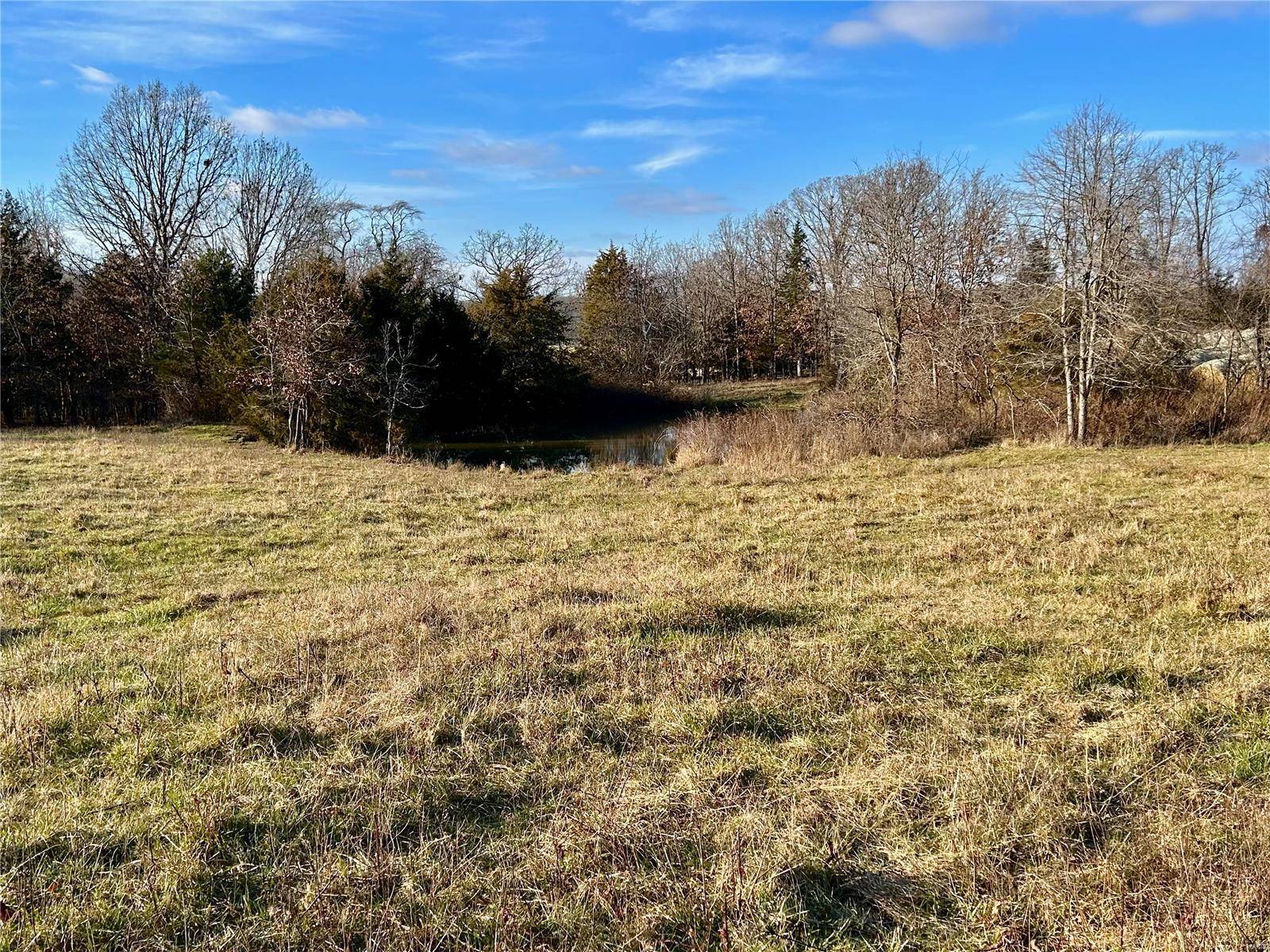 Salem, MO 65560,0 TBD Tract 4 Highway CC