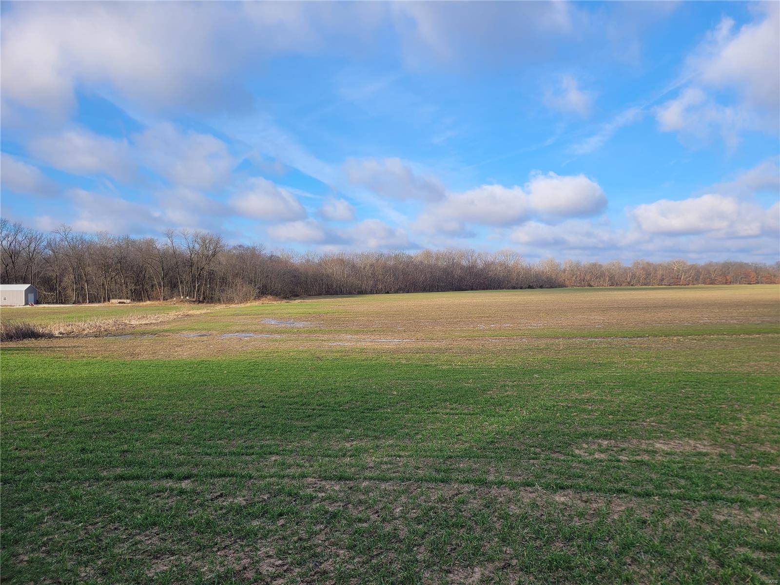 Middletown, MO 63359,0 Bales Rd. (81.8+/- Acres)