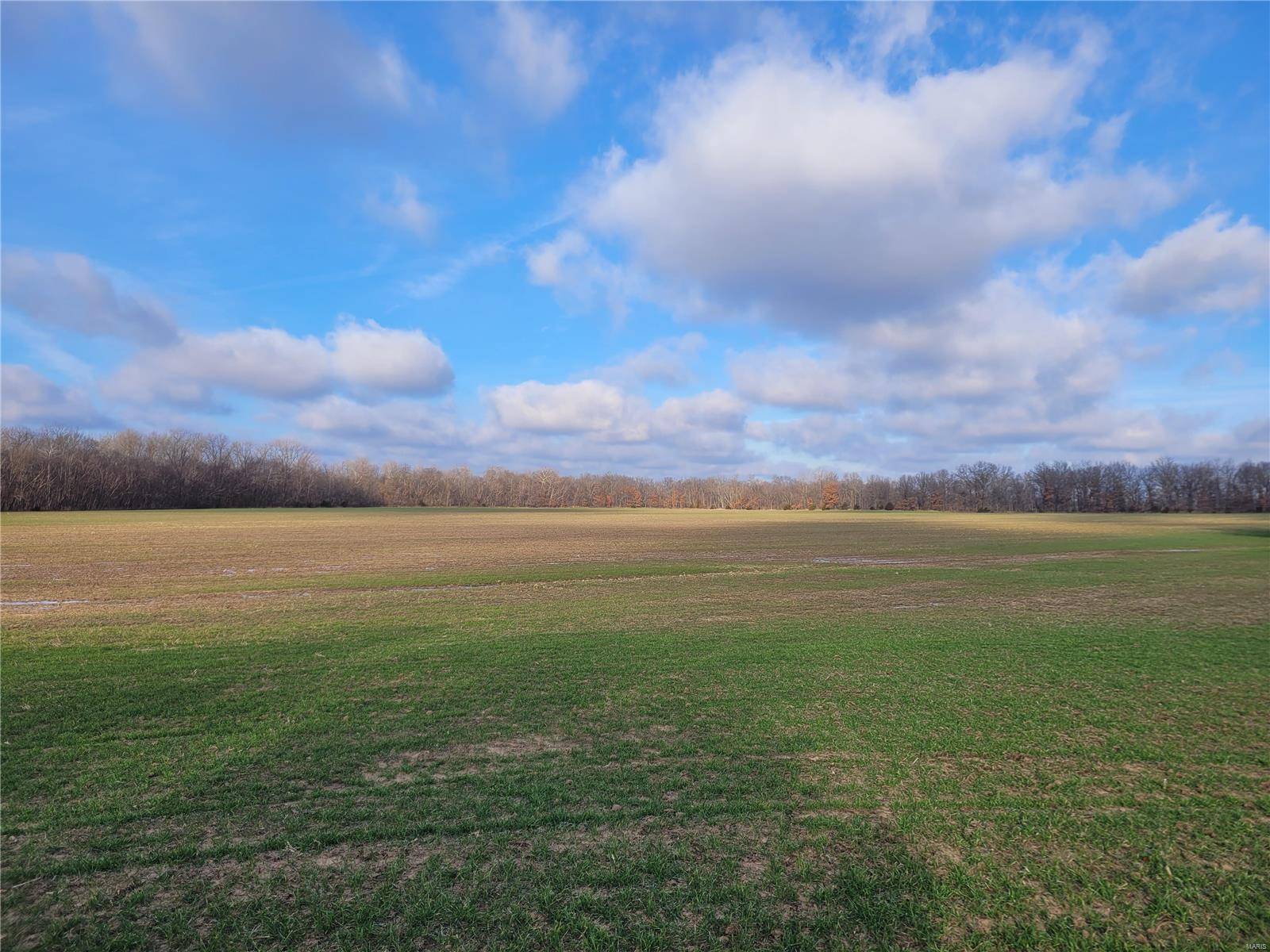 Middletown, MO 63359,0 Bales Rd. (81.8+/- Acres)