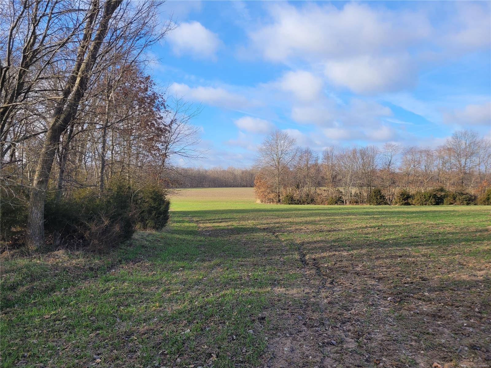Middletown, MO 63359,0 Bales Rd. (26.5+/- Acres)