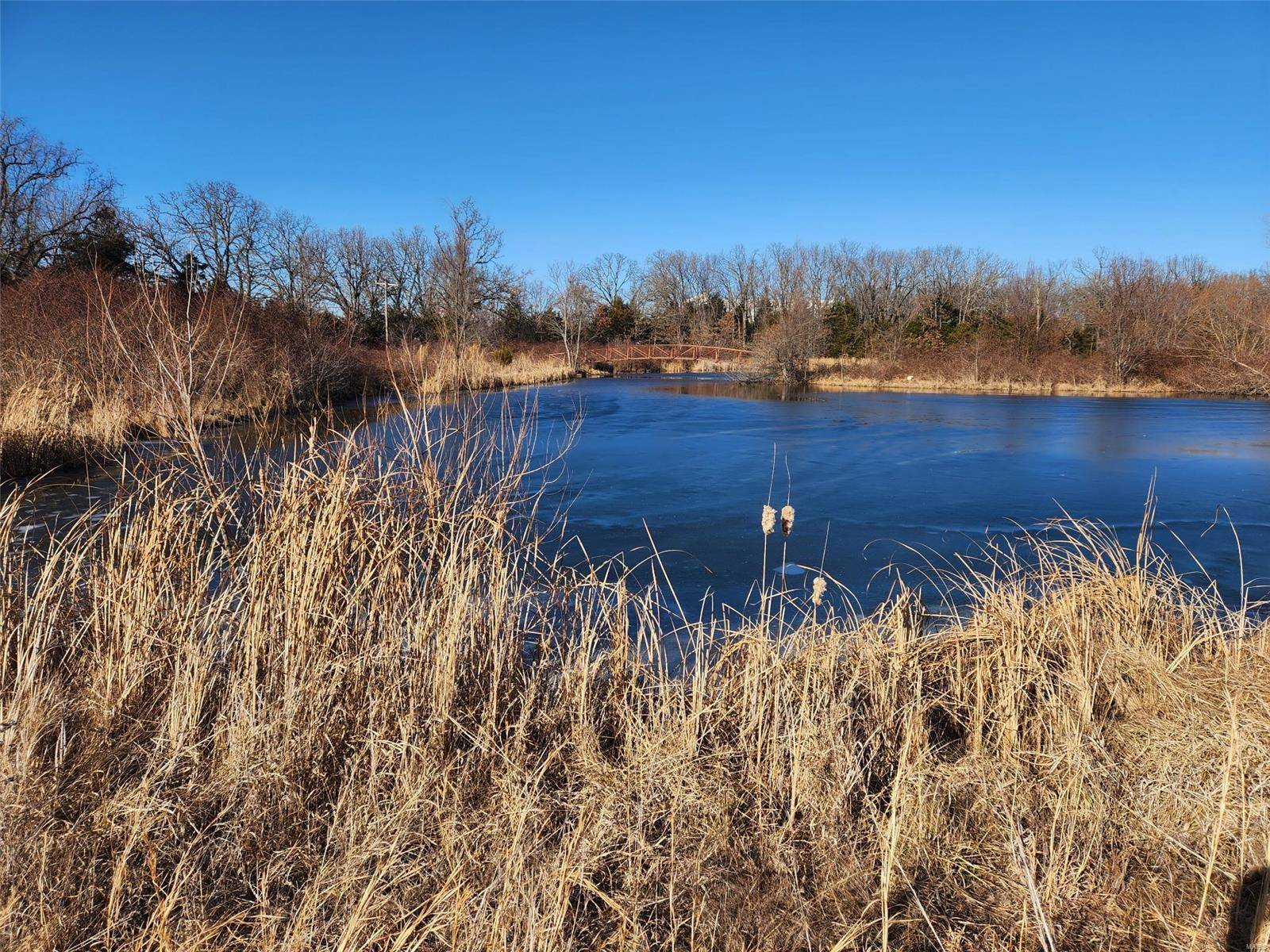 Phillipsburg, MO 65722,1 Highway C / W Pine ST