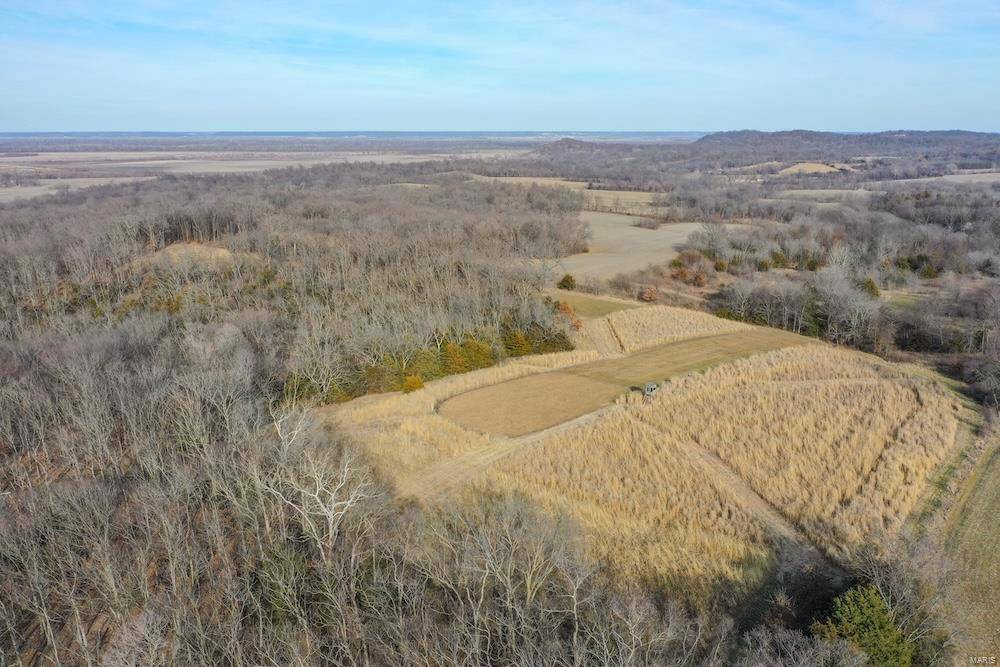 Louisiana, MO 63353,17994 Pike 135