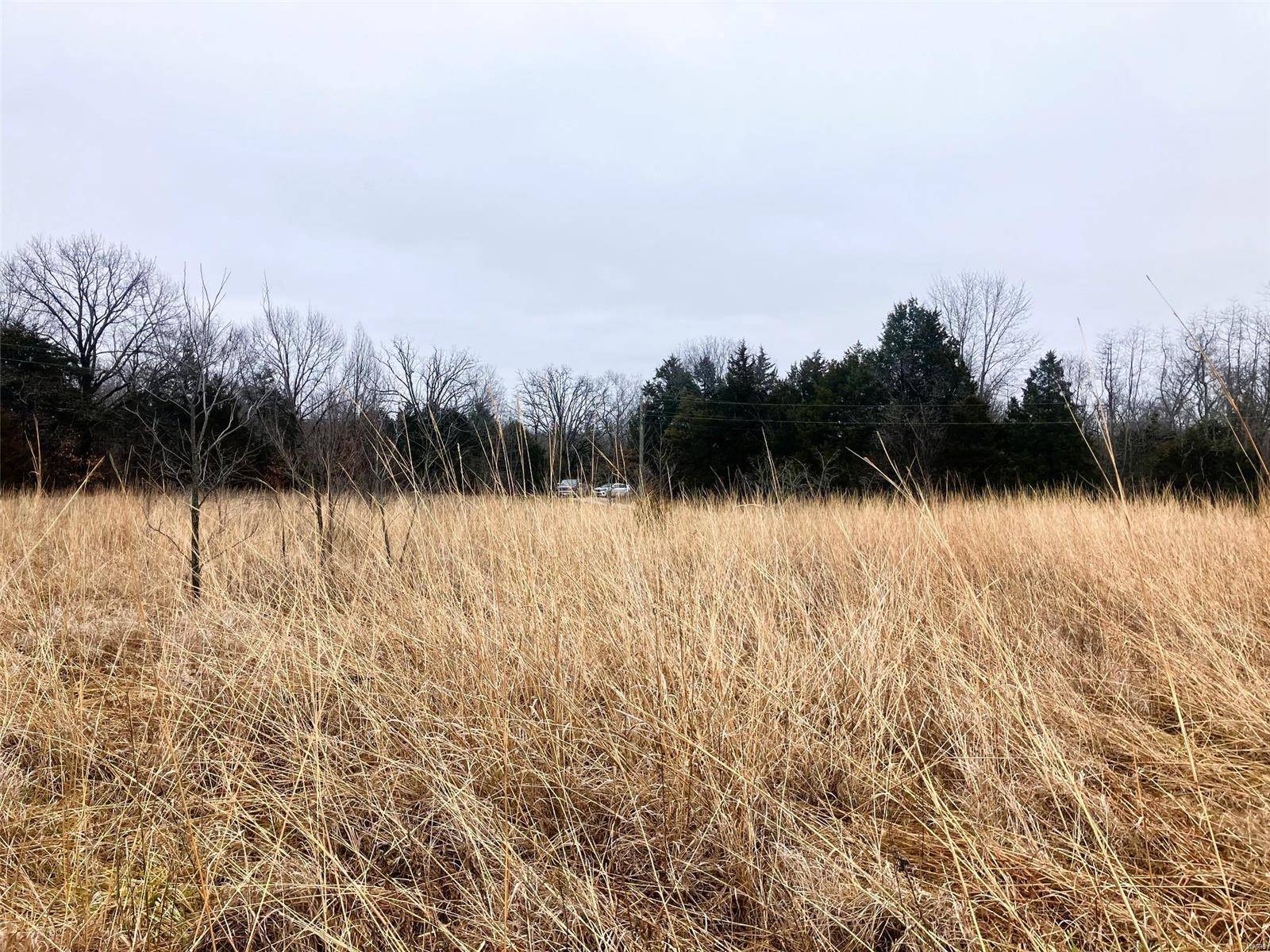 New Florence, MO 63363,0 5.01 ac. Logan School RD
