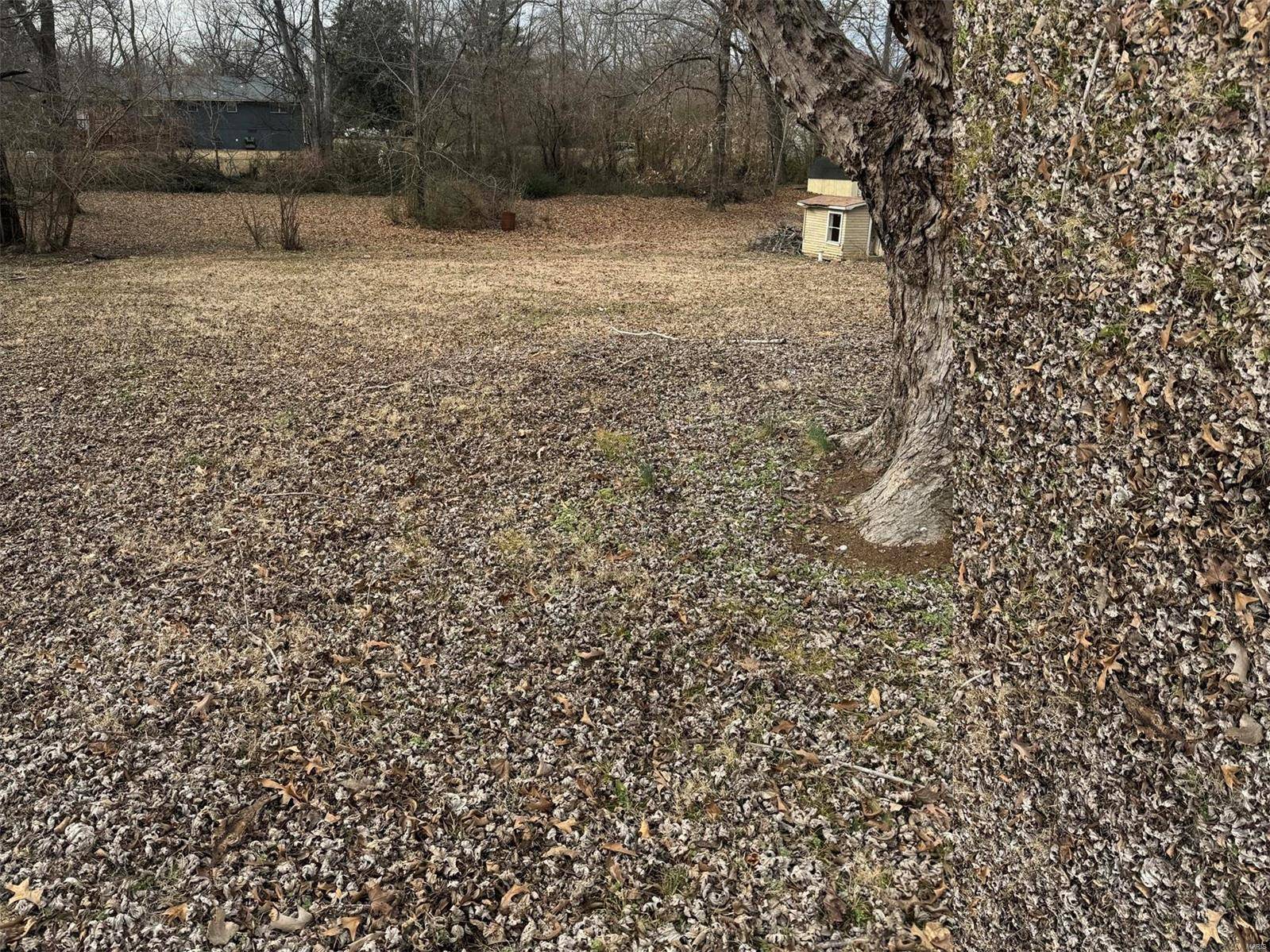 Poplar Bluff, MO 63902,2523 Shady LN