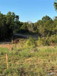 Monroe City, MO 63456,3 Appaloosa TRL