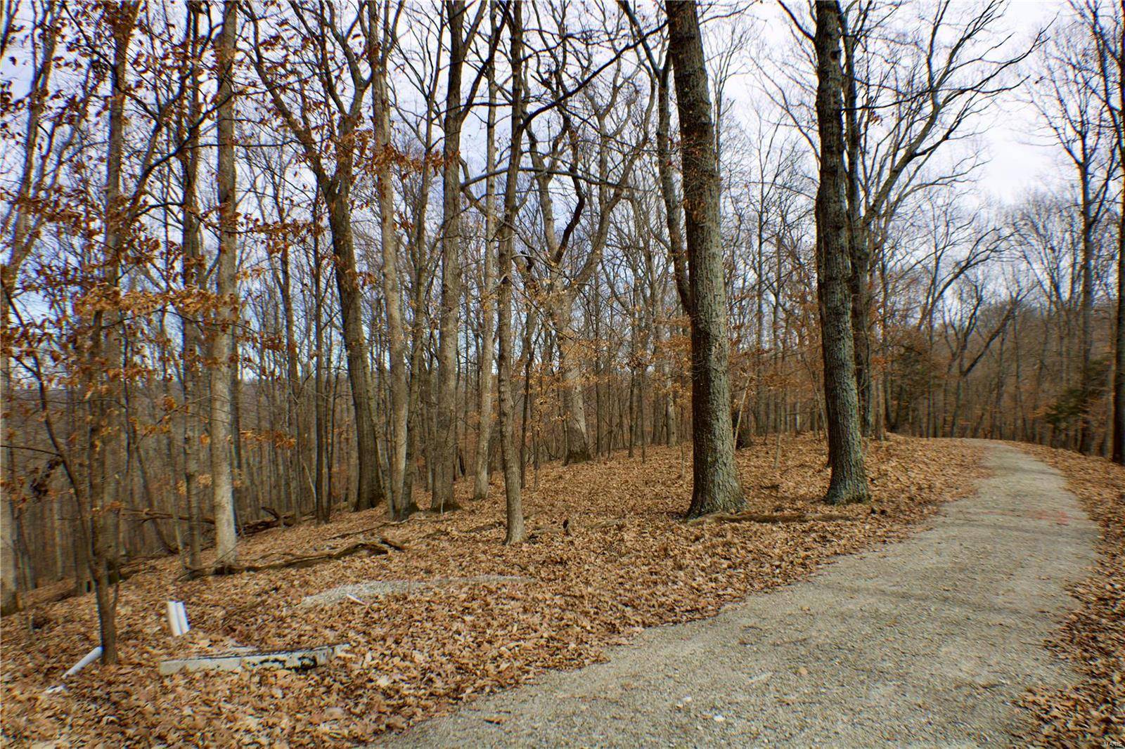 Eureka, MO 63025,1 Misty Ridge (Lot 2)