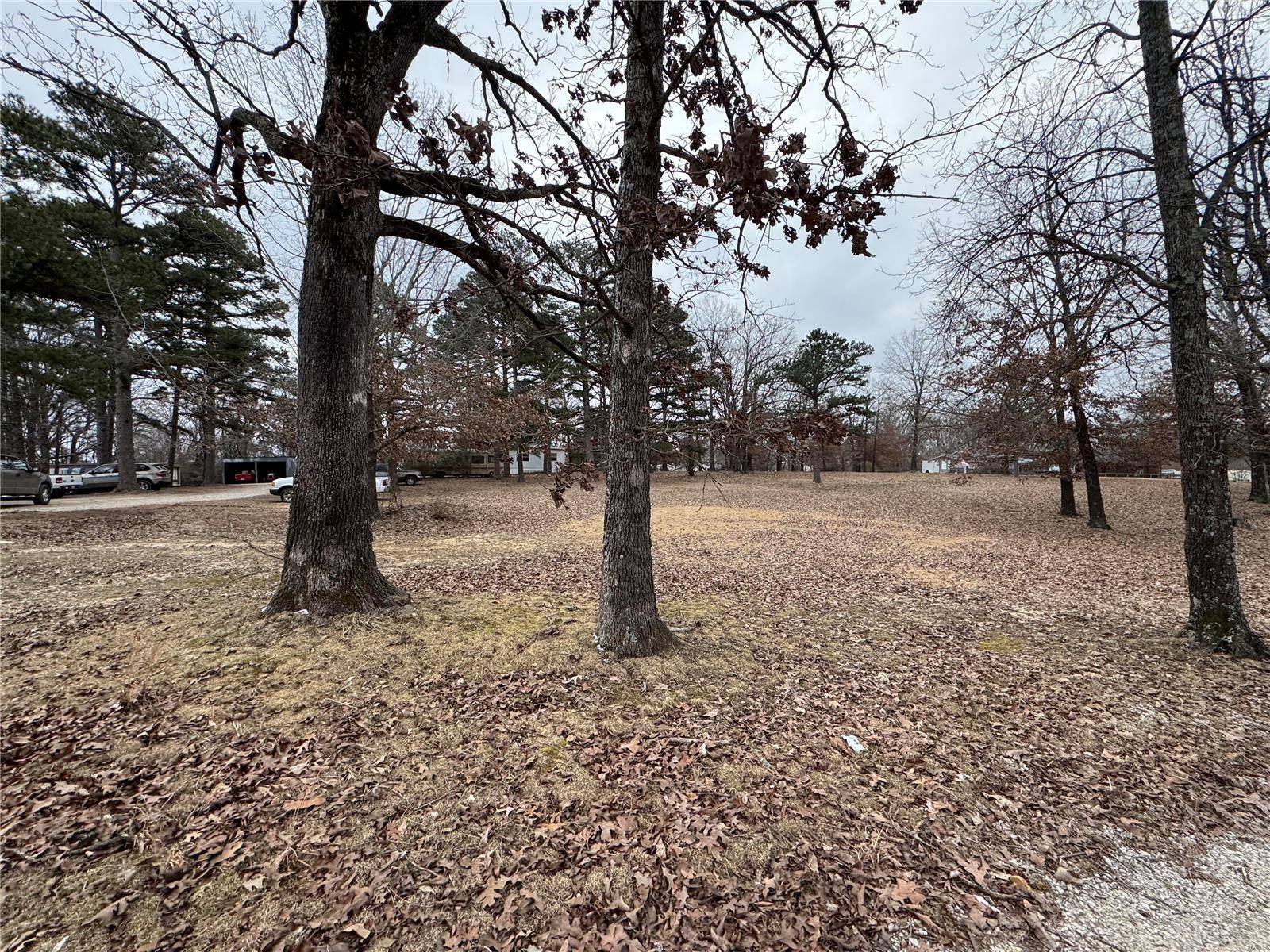 Poplar Bluff, MO 63901,2874 Reno DR
