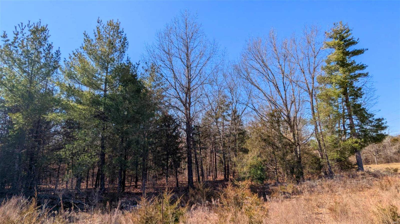 Warrenton, MO 63383,19 Windy Ridge LN