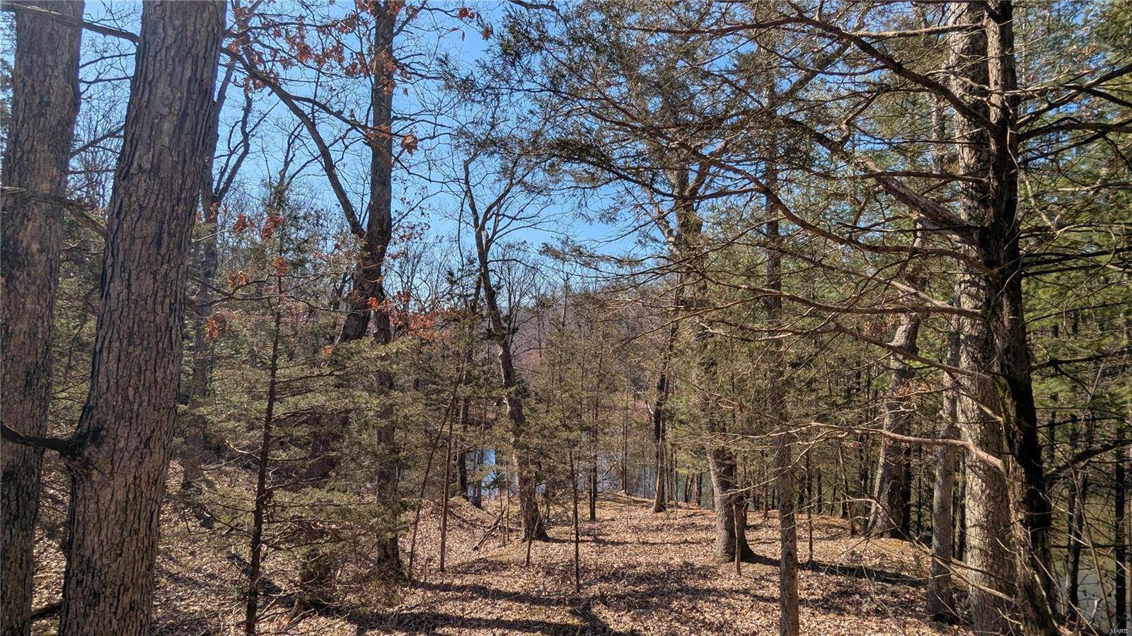 Warrenton, MO 63383,3 Windy Ridge LN
