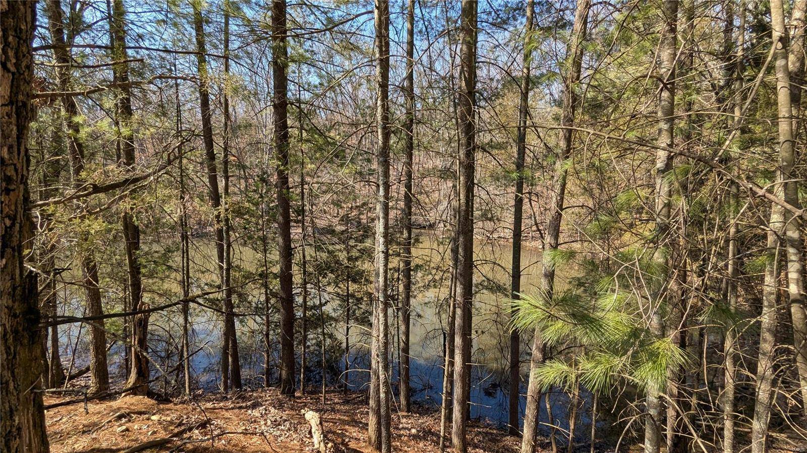 Warrenton, MO 63383,3 Windy Ridge LN