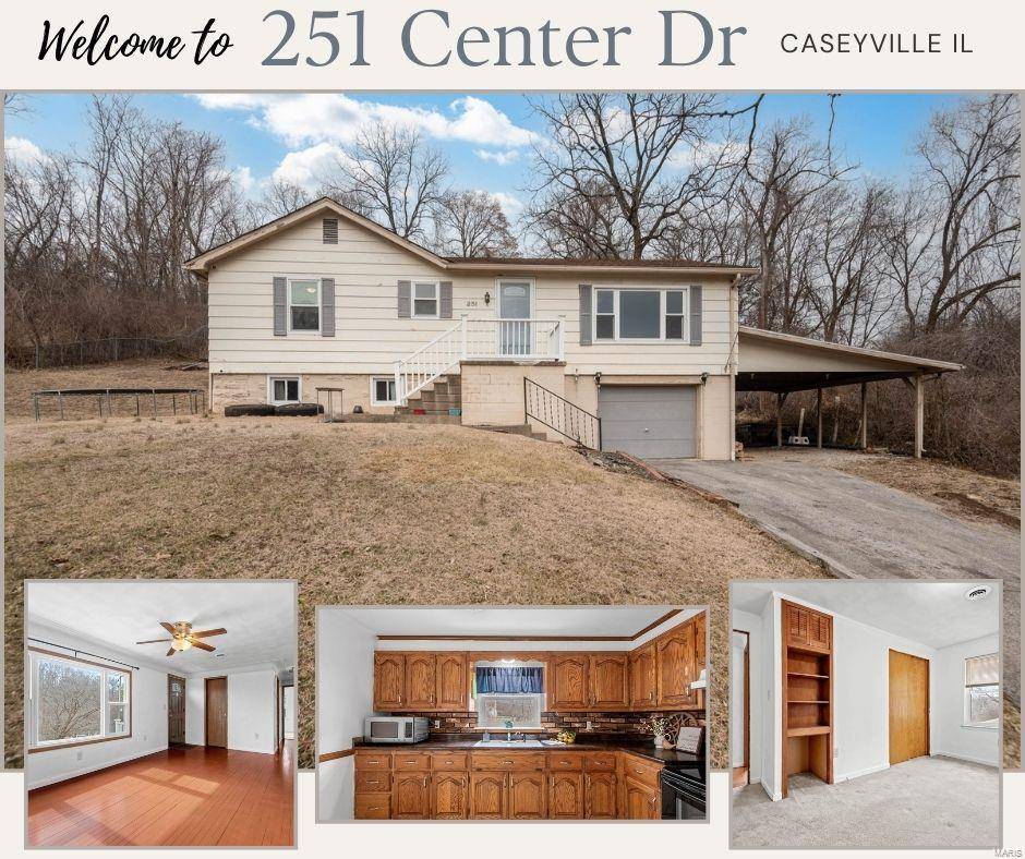 Caseyville, IL 62232,251 Center DR