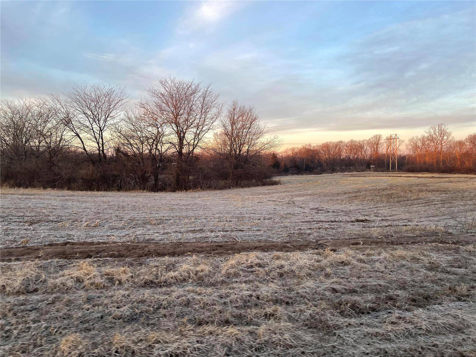 Wentzville, MO 63385,221 Bluegrass Pasture CT