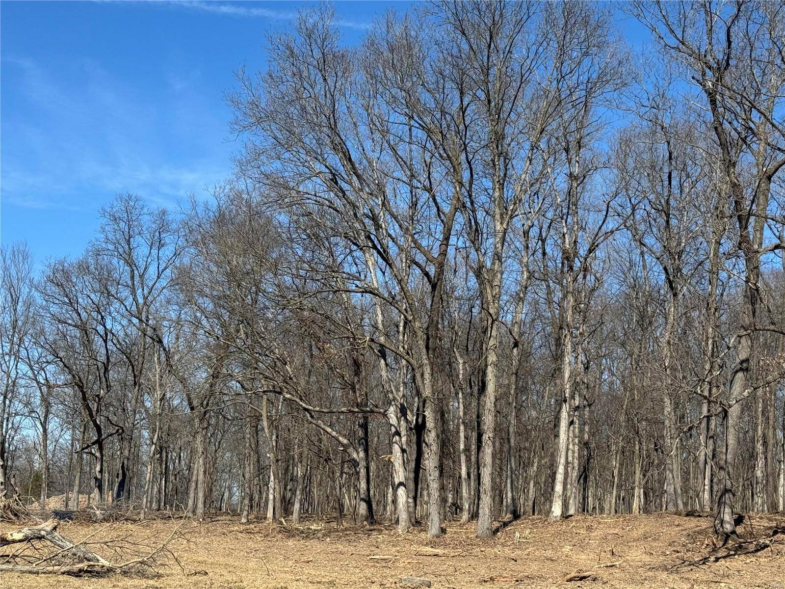 Moscow Mills, MO 63379,3989 Patton RD