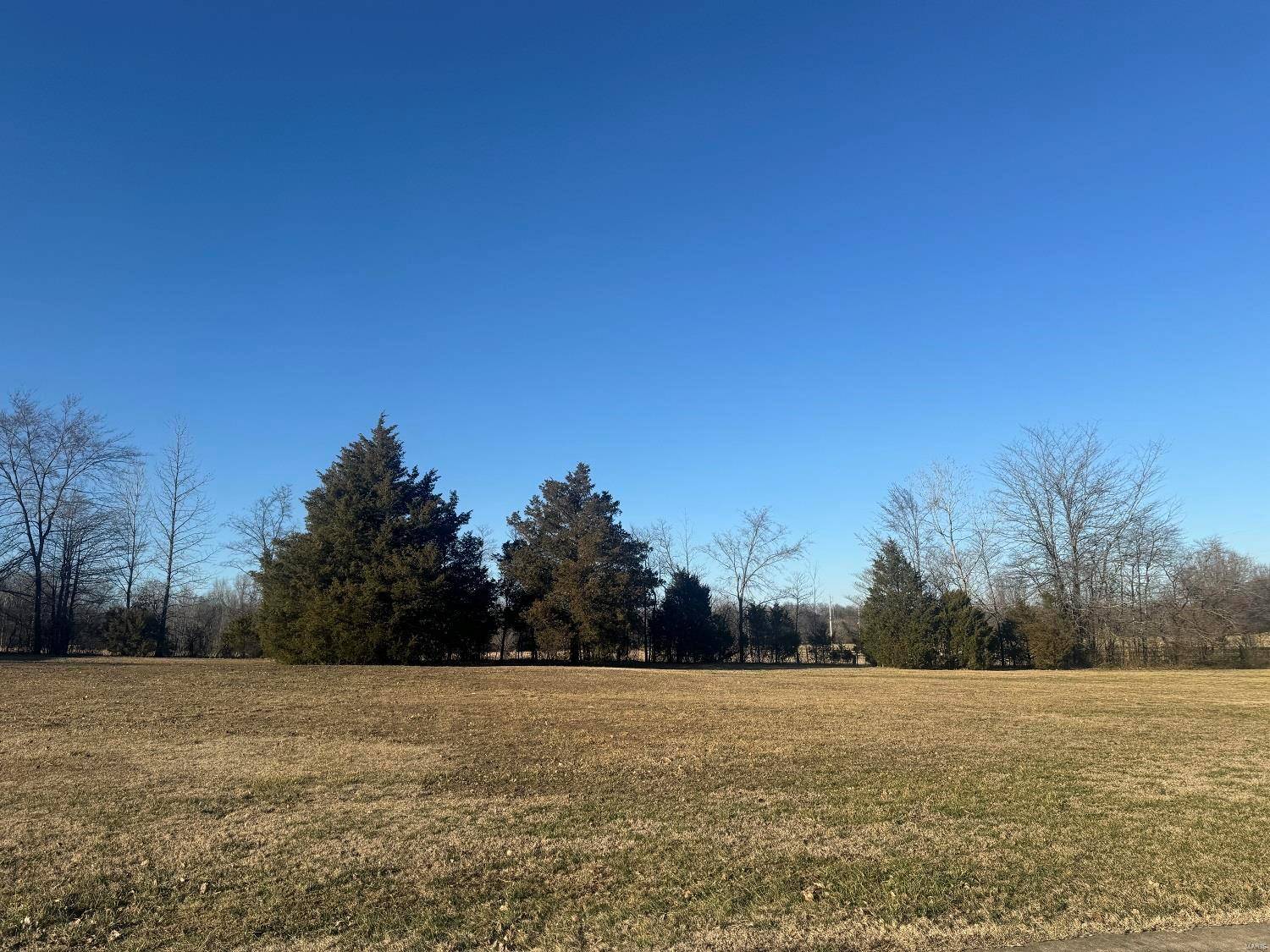 Poplar Bluff, MO 63901,0 Paradise LN