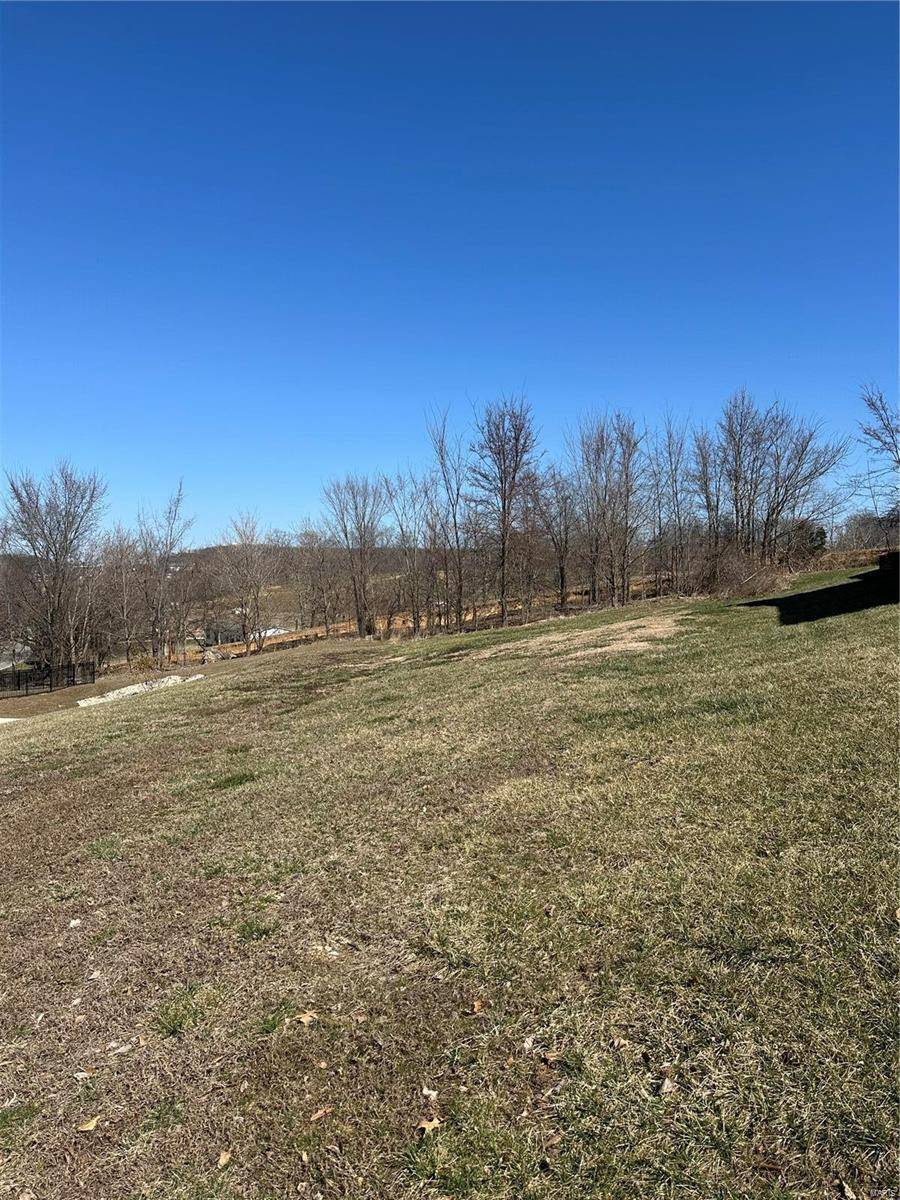 Cape Girardeau, MO 63701,716 Cloverdale Ranch RD