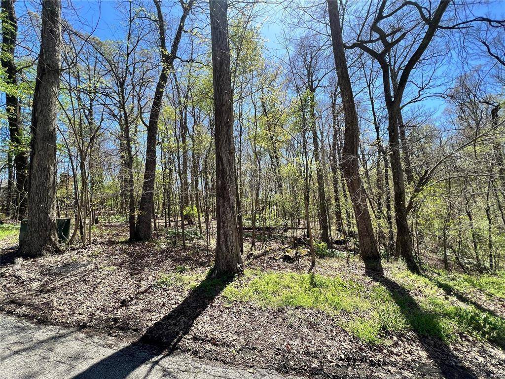 Dexter, MO 63841,0 Glenwood Hills Est Lot 5 Blk 2