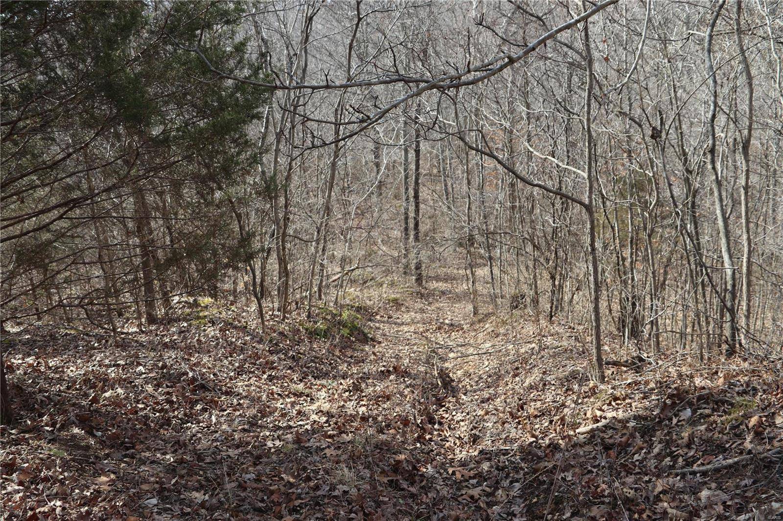Hillsboro, MO 63050,1 Tower RD