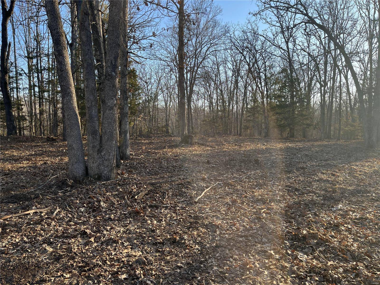 Bourbon, MO 65441,0 Lot #3 Turkeyfoot RD