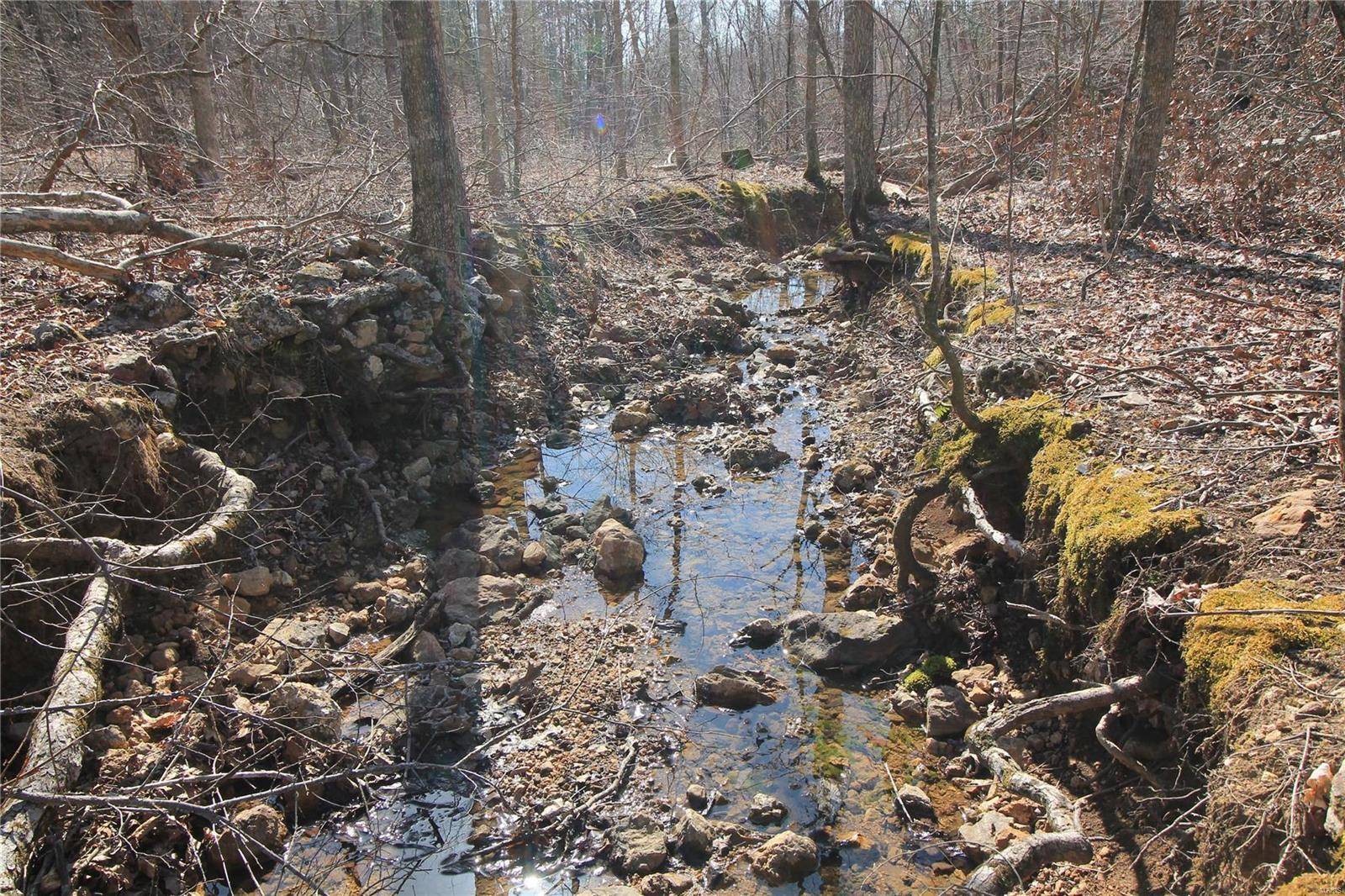 Fredericktown, MO 63645,0 Madison CR 411 (121c)