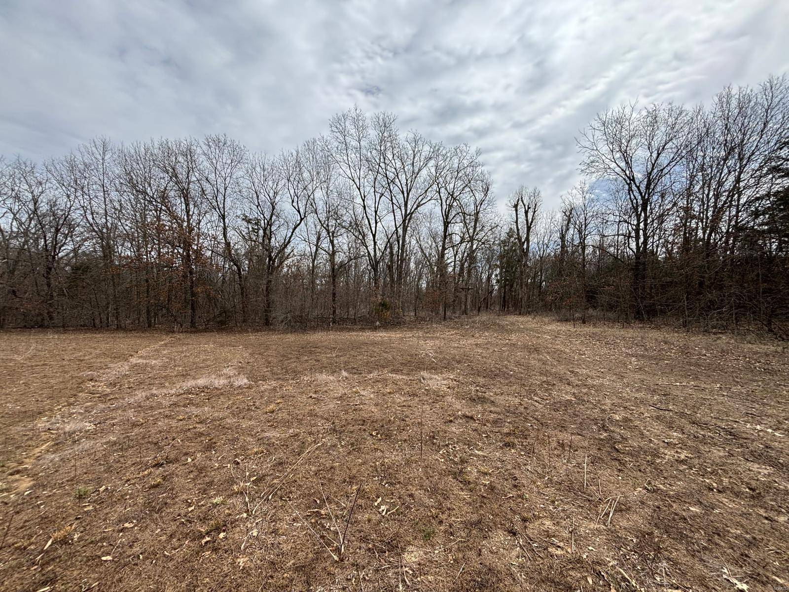 Perry, MO 63462,29 Leo LN