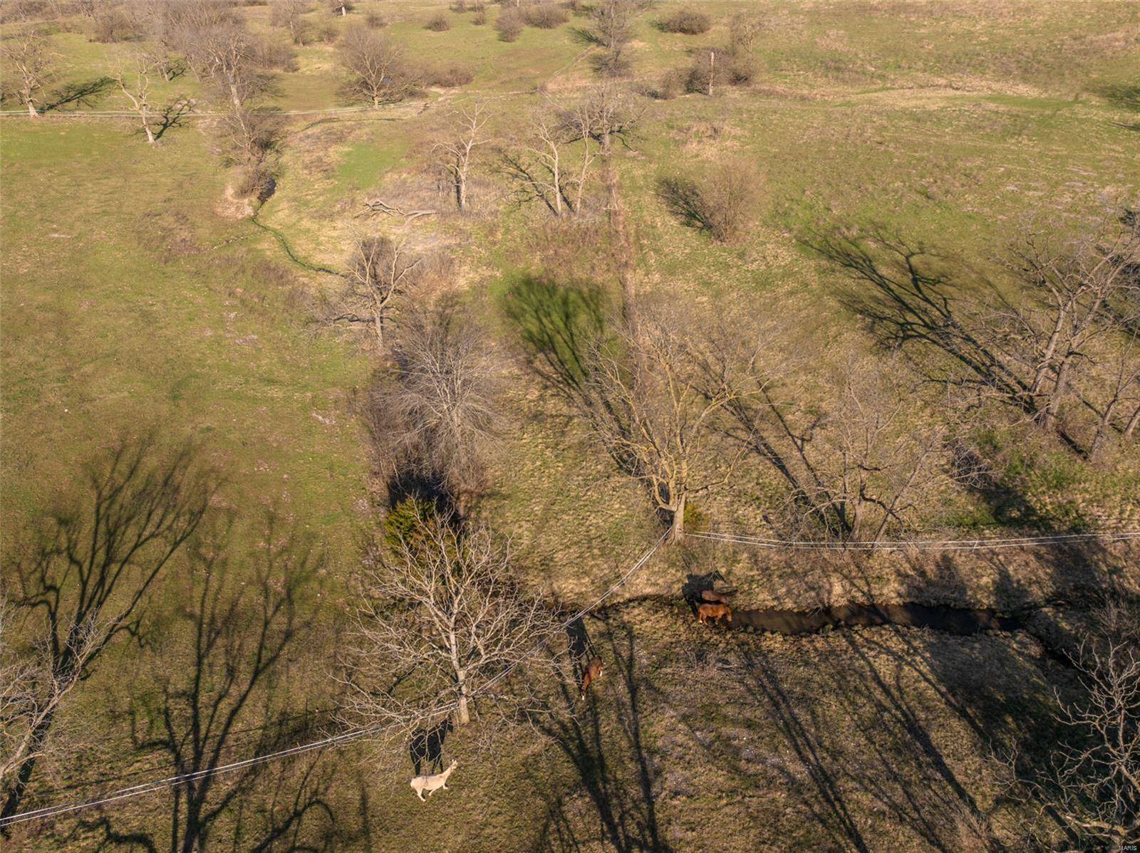 Silex, MO 63377,0 Highway RA (8 Ac - Tract 4)