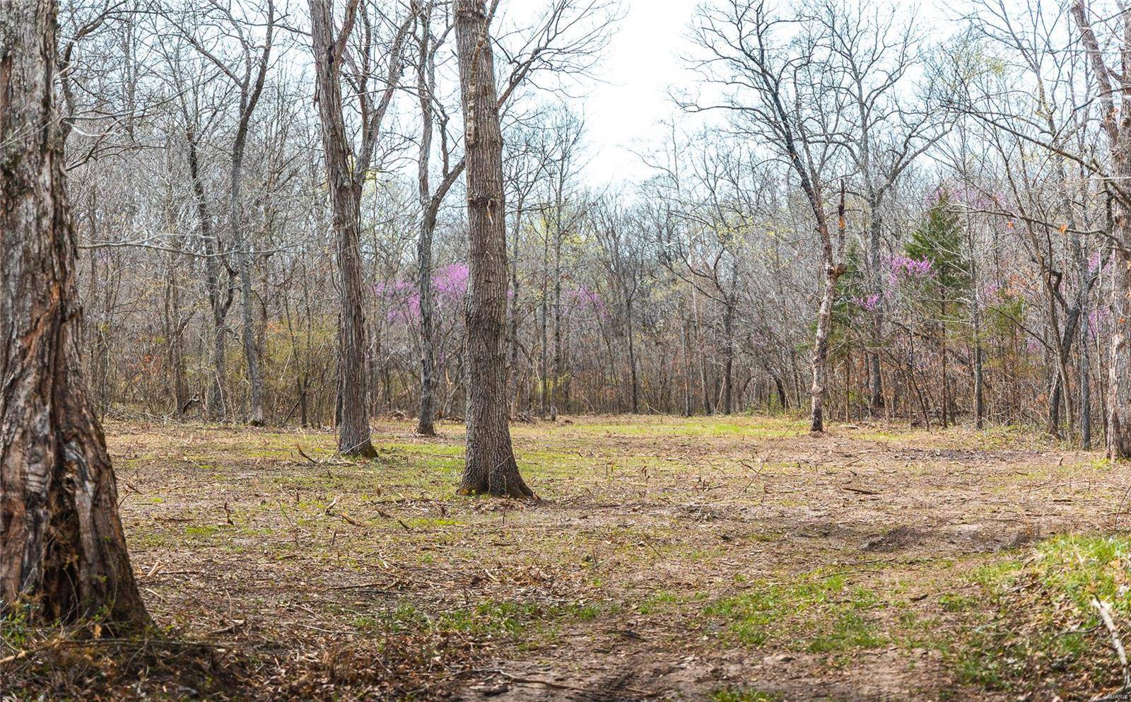 Belle, MO 65013,0 none