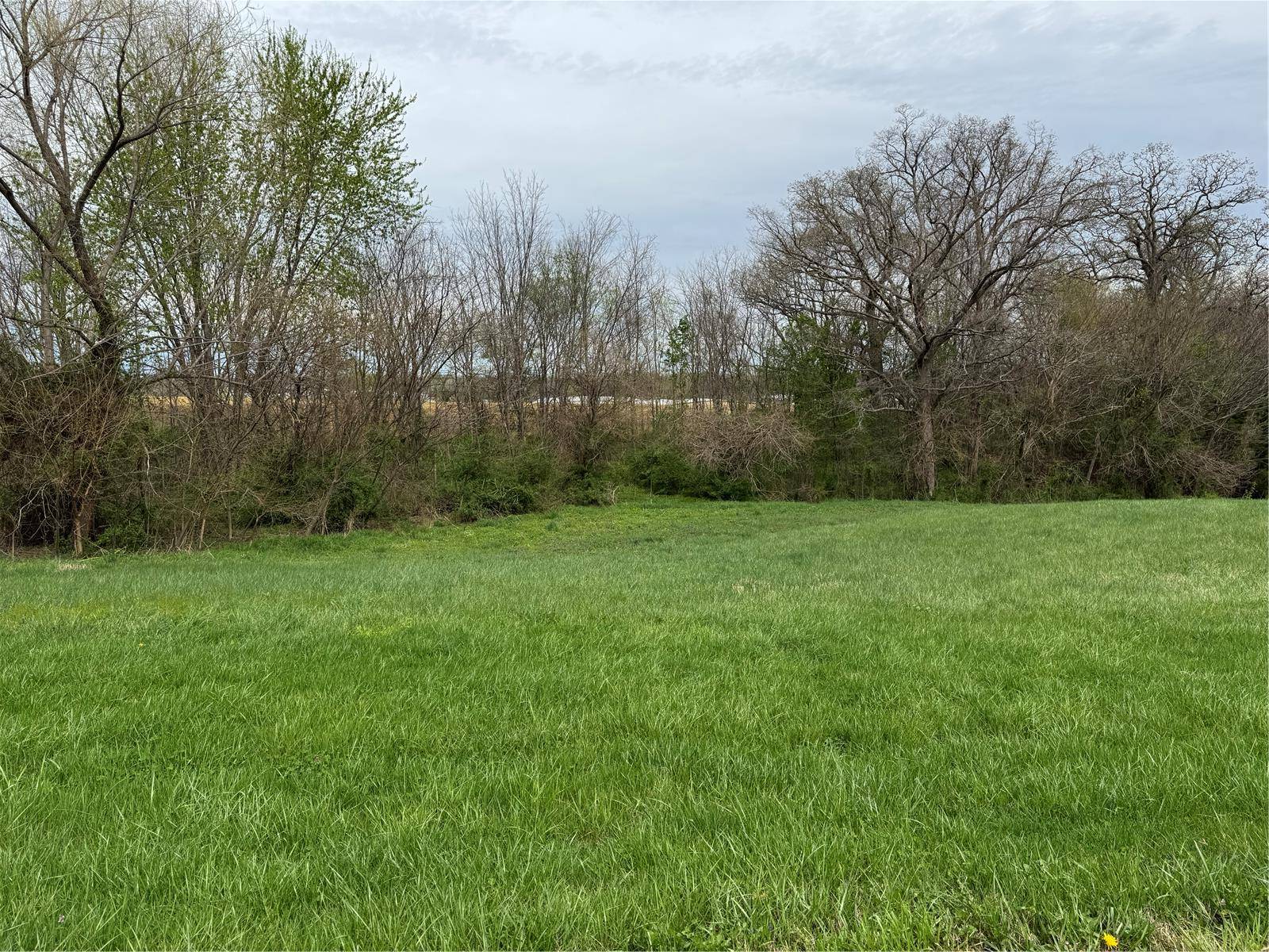 Ste Genevieve, MO 63670,22991 Buckingham Drive