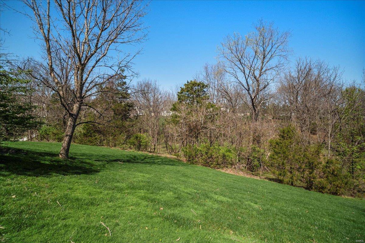 Wildwood, MO 63005,1309 Wellington Valley CT