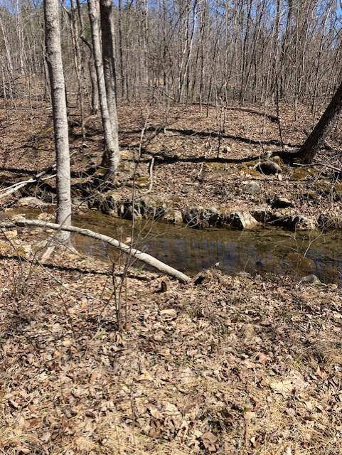Fredericktown, MO 63645,161 Madison CR 410