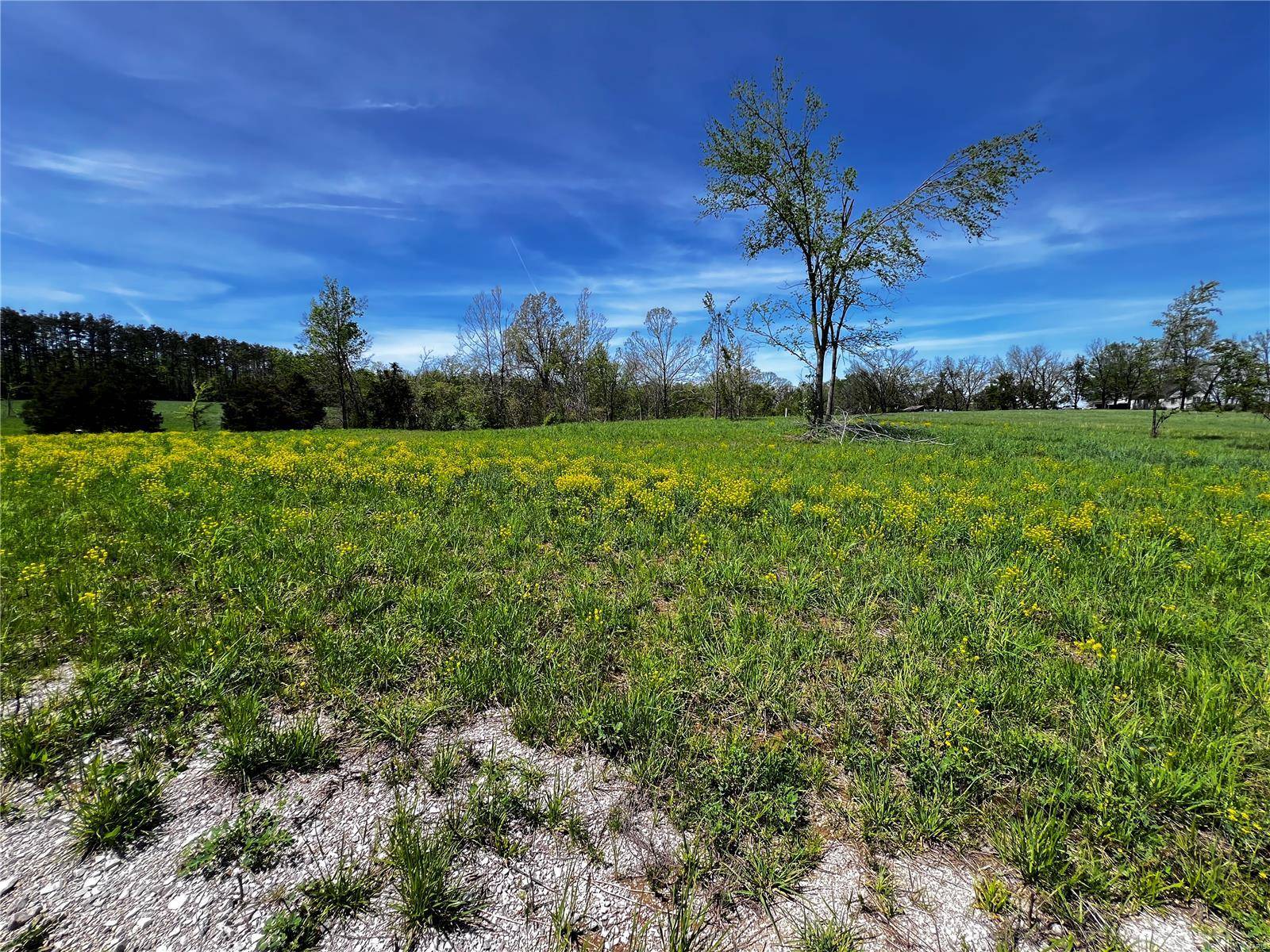 Perryville, MO 63775,1009 Legacy LN