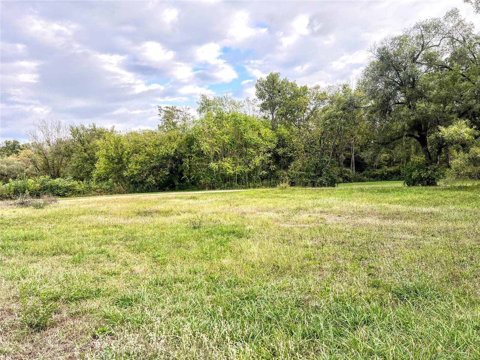 Park Hills, MO 63601,0 E Elvins BLVD