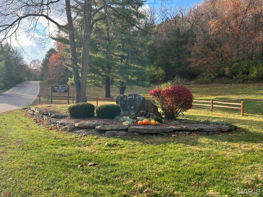 Eureka, MO 63025,59 The Bluffs DR #59