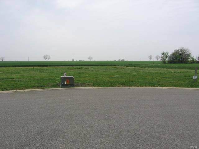 Carlyle, IL 62231,10 HODAPP CT