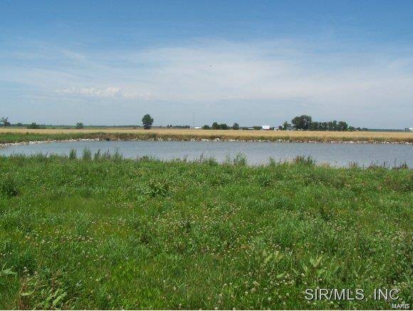 St Libory, IL 62282,651 Hailie ST