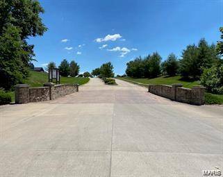 Edwardsville, IL 62025,3821 Tanzanite (Lot 74) TRL