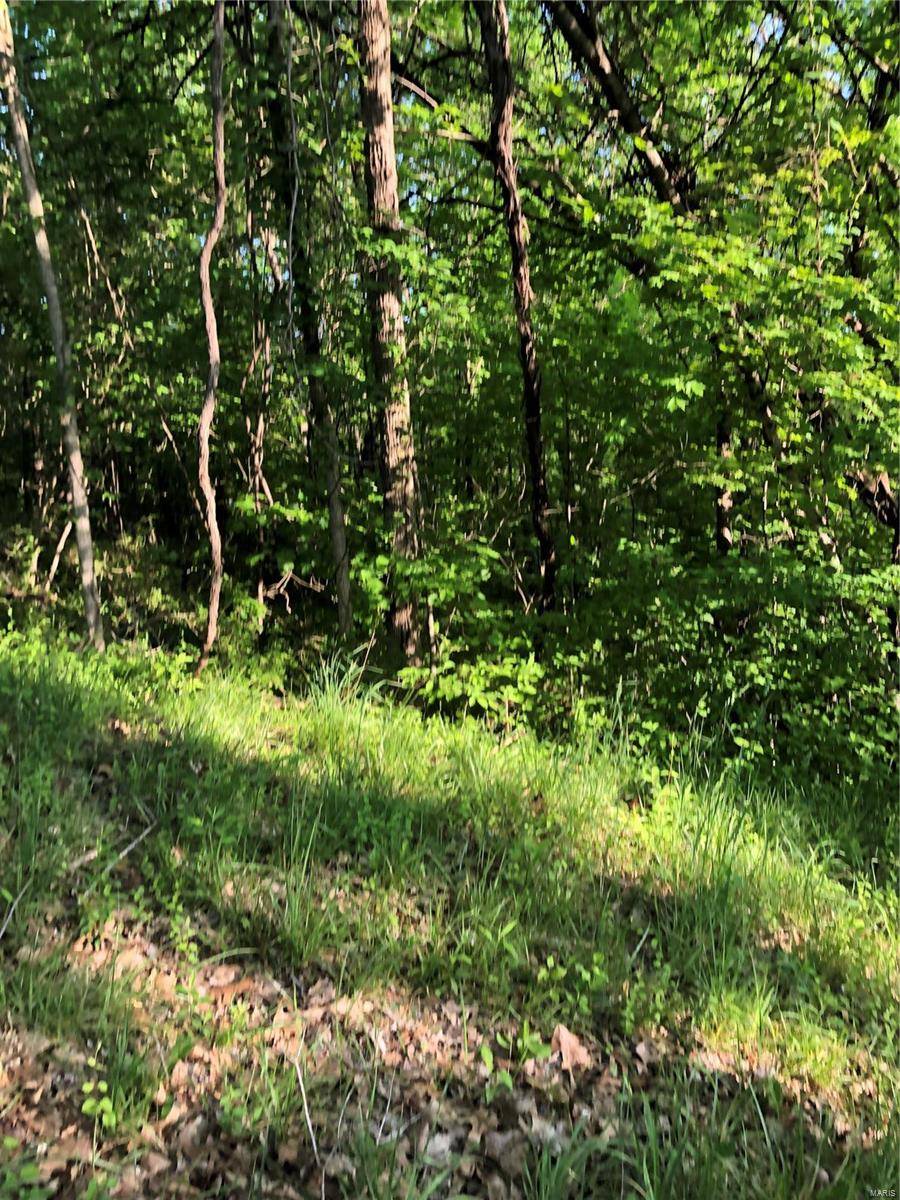 New Haven, MO 63068,1 McNair ST