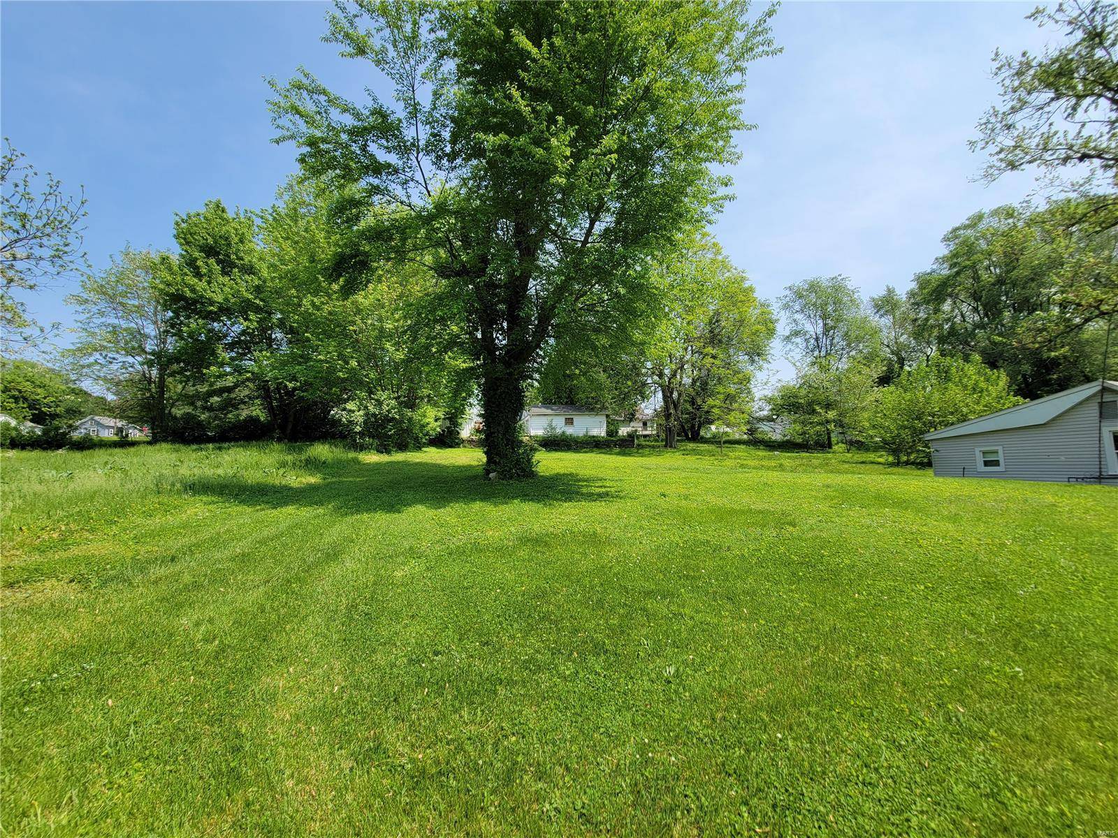 Louisiana, MO 63353,1013 Texas ST