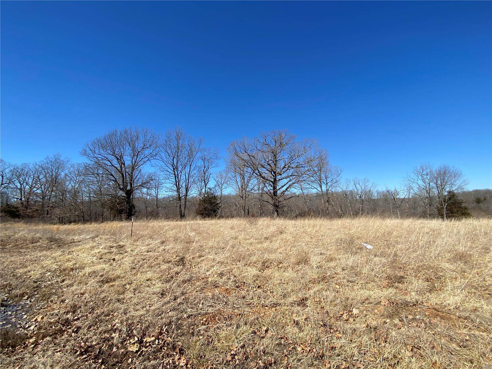 Lebanon, MO 65536,0 Lot 11 Promise DR