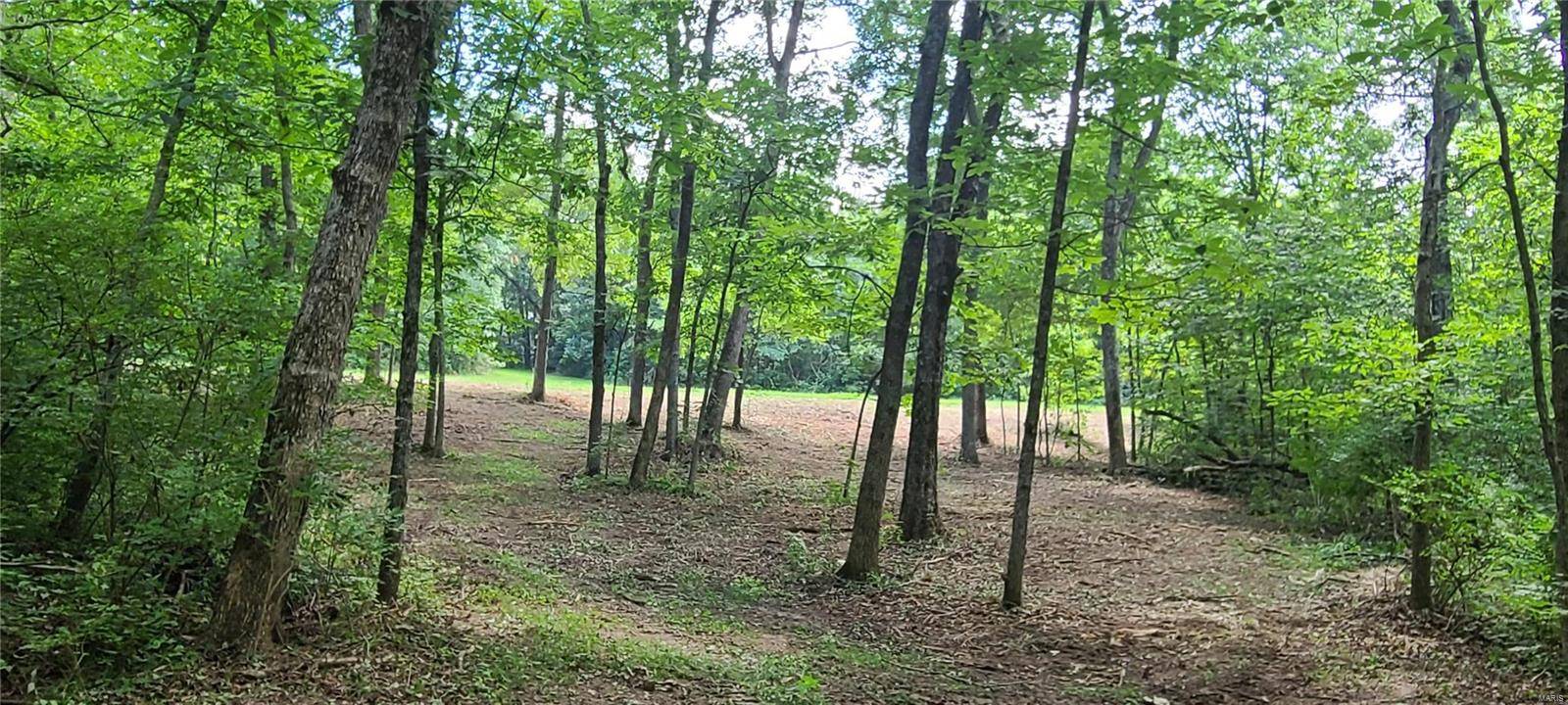 Troy, MO 63379,110 Spring House LN