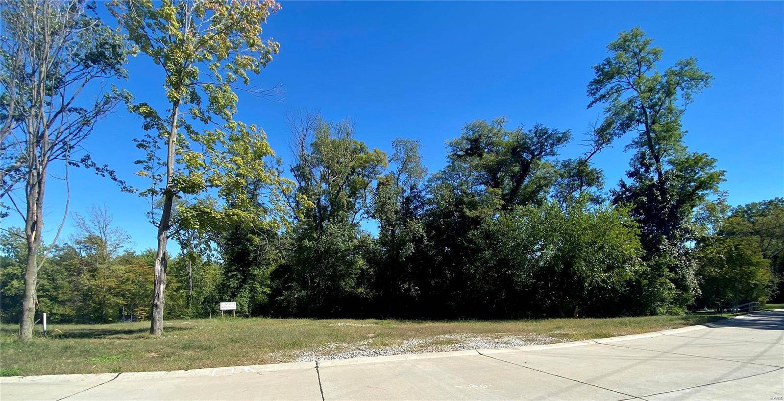Kirkwood, MO 63122,2017 Lily AVE