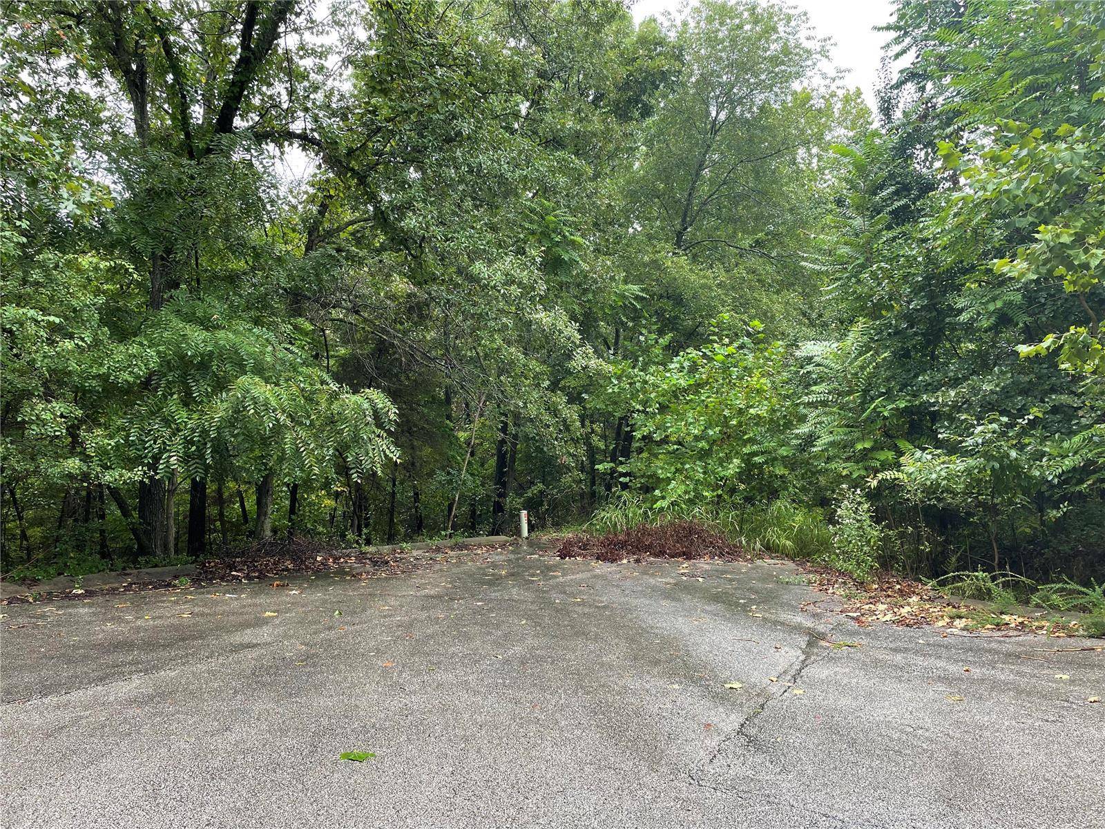 Waynesville, MO 65583,0 El Loma Street