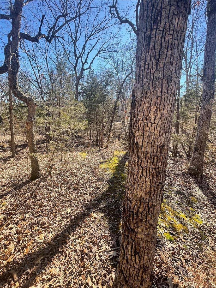 De Soto, MO 63020,329 W Lakeview DR