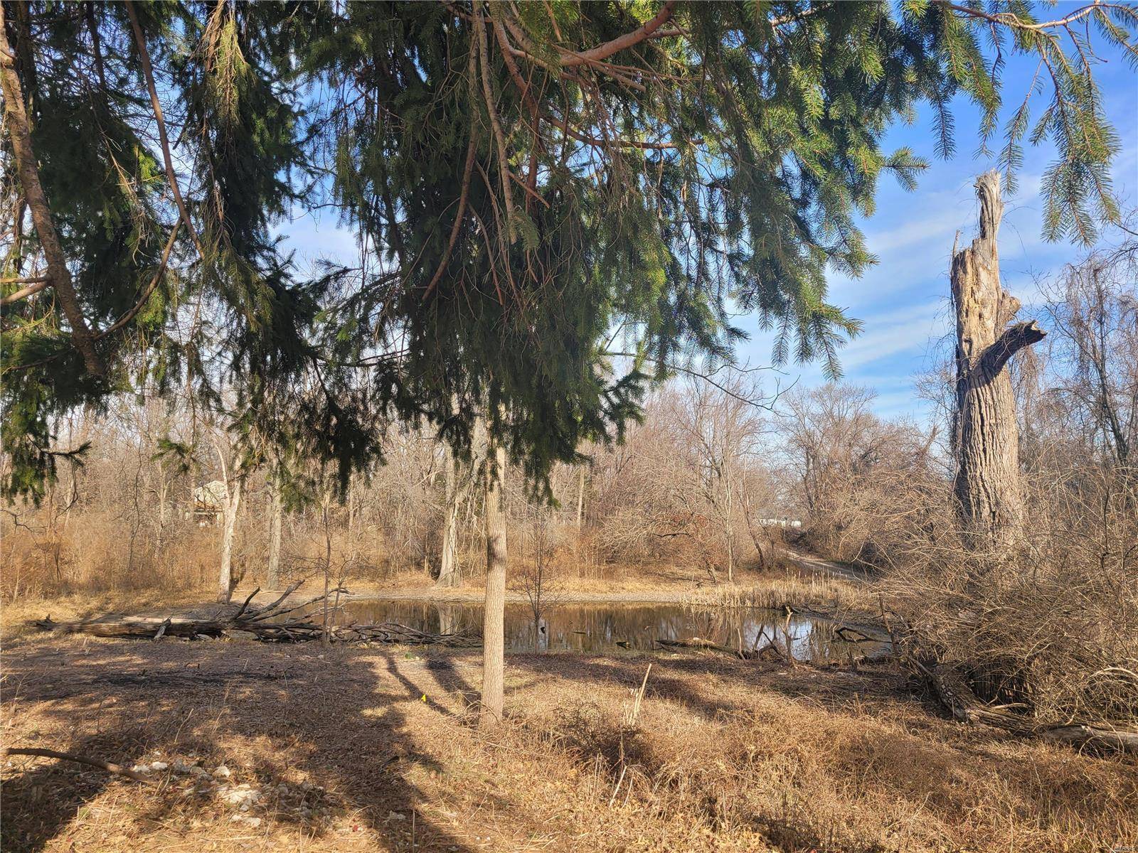 Unincorporated, MO 63138,1501 Kemper PL