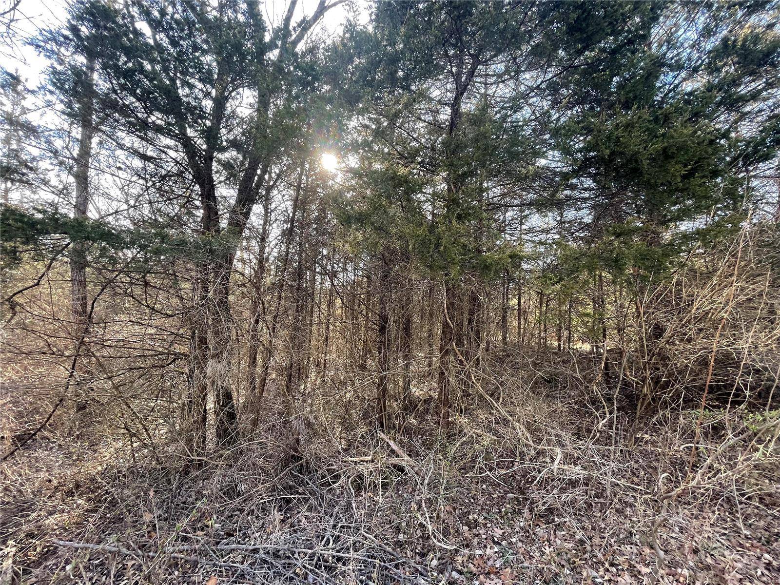 De Soto, MO 63020,202 Valley DR