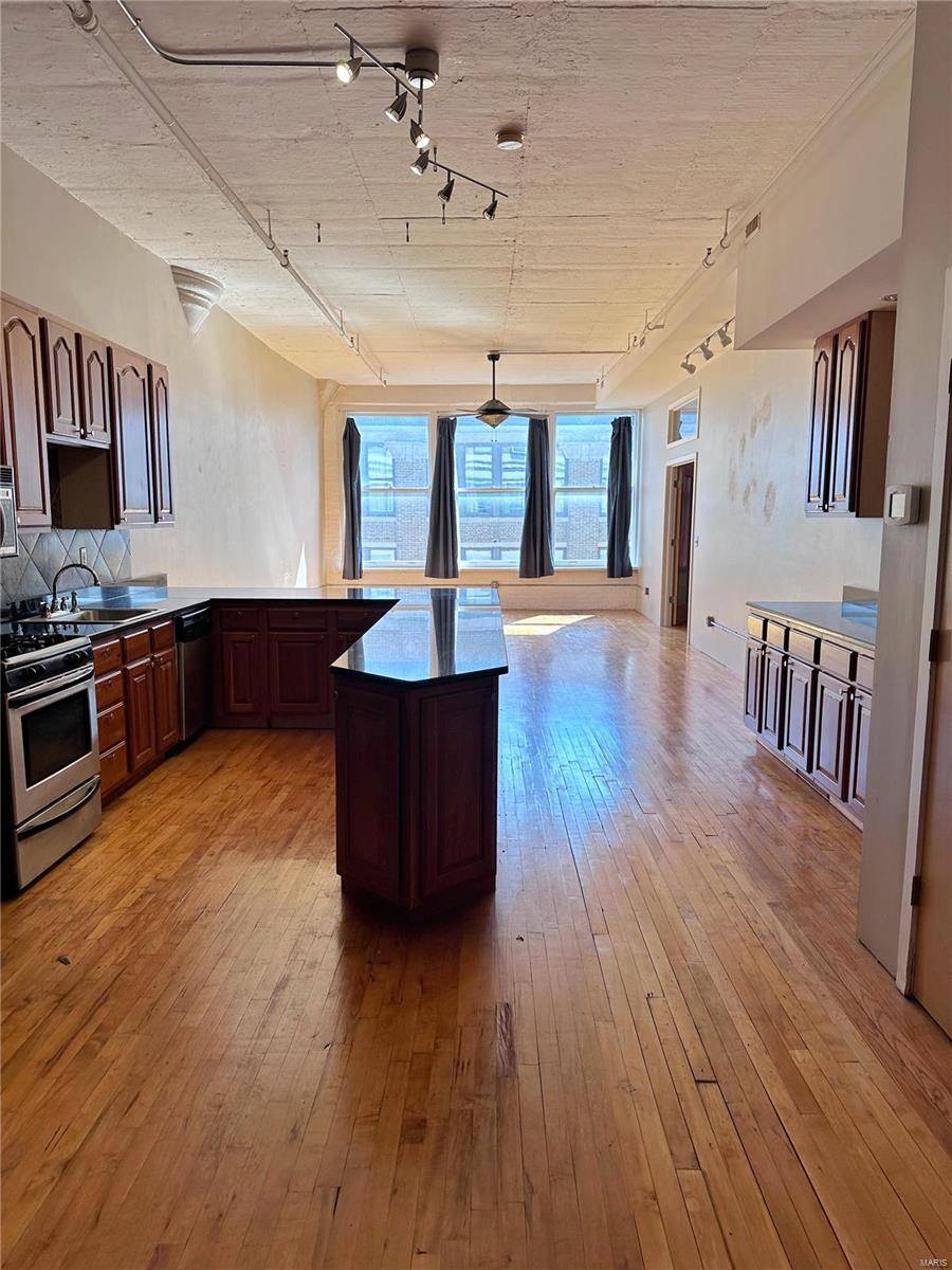 St Louis, MO 63103,1709 Washington AVE #805